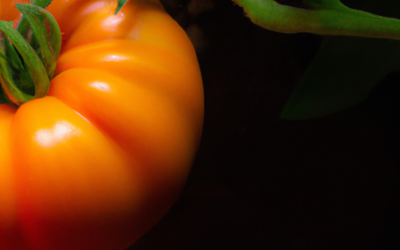 Por qué el Tomate Canario es un Must en Tu Dieta
